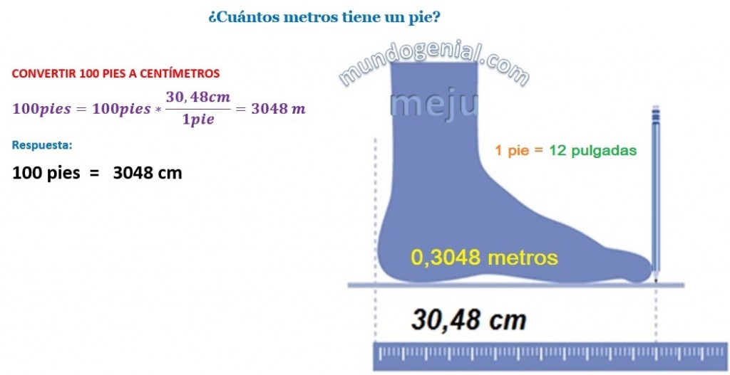 ¿Cuánto mide un pie en centímetros? – Mundo Genial de la Matemática